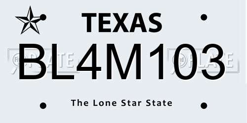 BL4M103 Texas License Plate
