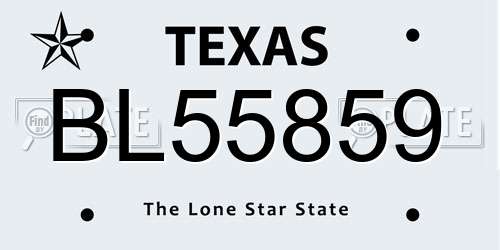 BL55859 Texas License Plate
