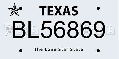 BL56869 Texas License Plate