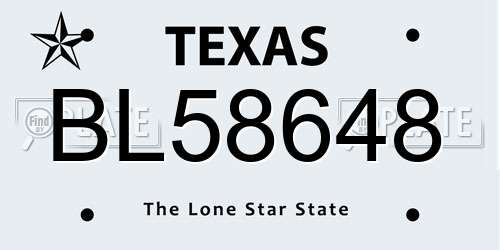 BL58648 Texas License Plate
