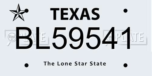 BL59541 Texas License Plate