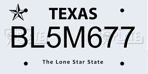 BL5M677 Texas License Plate