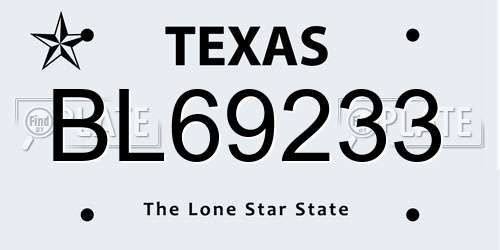 BL69233 Texas License Plate