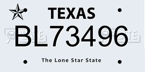 BL73496 Texas License Plate