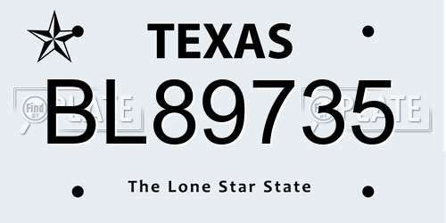 BL89735 Texas License Plate