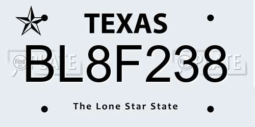 BL8F238 Texas License Plate
