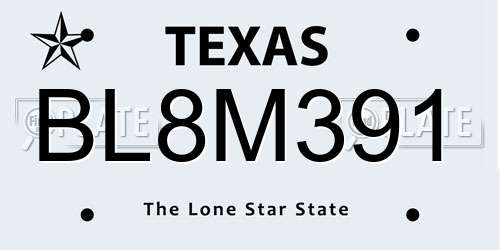 BL8M391 Texas License Plate