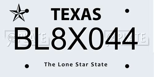 BL8X044 Texas License Plate