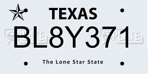 BL8Y371 Texas License Plate