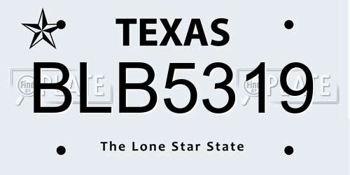 BLB5319 Texas License Plate