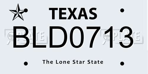 BLD0713 Texas License Plate