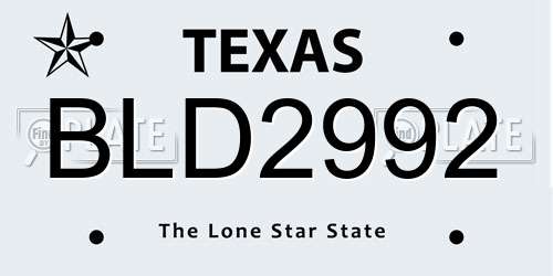 BLD2992 Texas License Plate