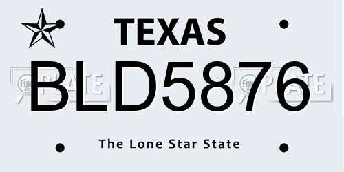 BLD5876 Texas License Plate