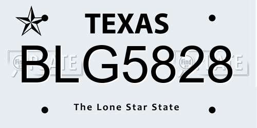 BLG5828 Texas License Plate