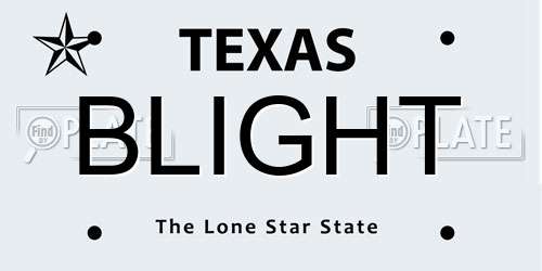 BLIGHT Texas License Plate