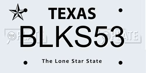 BLKS53 Texas License Plate