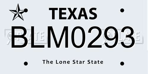 BLM0293 Texas License Plate