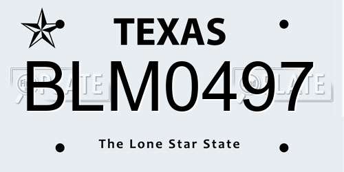 BLM0497 Texas License Plate