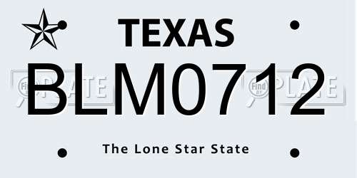 BLM0712 Texas License Plate