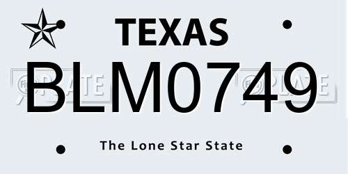 BLM0749 Texas License Plate