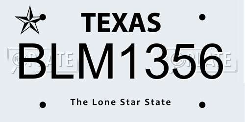BLM1356 Texas License Plate