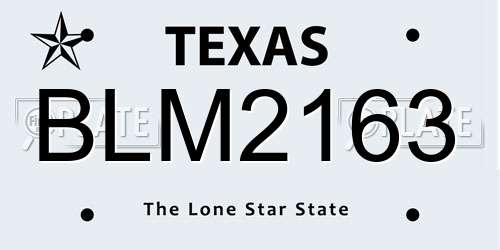 BLM2163 Texas License Plate