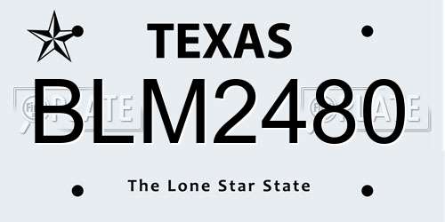BLM2480 Texas License Plate