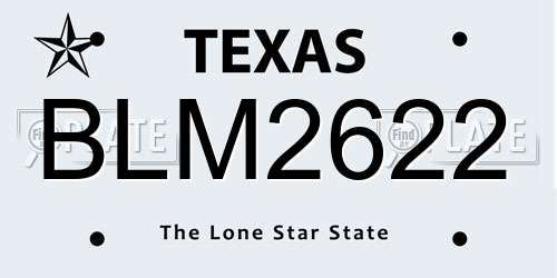 BLM2622 Texas License Plate