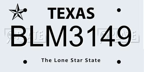 BLM3149 Texas License Plate