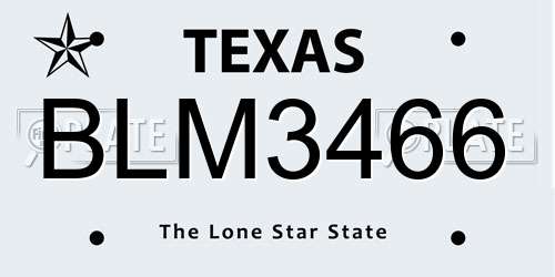 BLM3466 Texas License Plate
