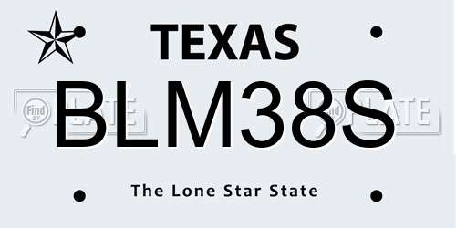 BLM38S Texas License Plate