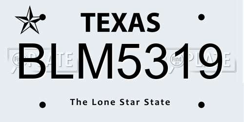 BLM5319 Texas License Plate