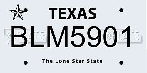 BLM5901 Texas License Plate