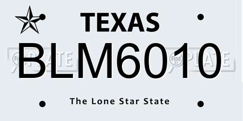 BLM6010 Texas License Plate