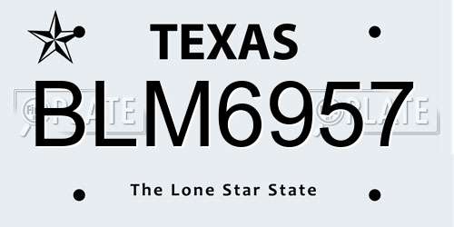 BLM6957 Texas License Plate