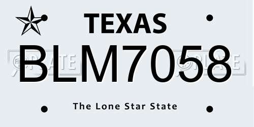 BLM7058 Texas License Plate