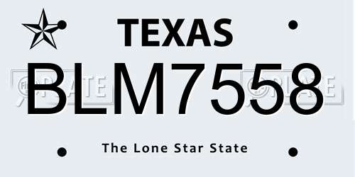 BLM7558 Texas License Plate