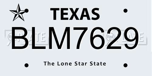 BLM7629 Texas License Plate