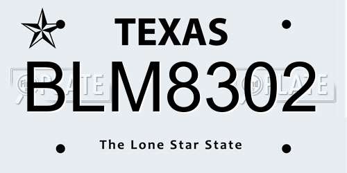 BLM8302 Texas License Plate