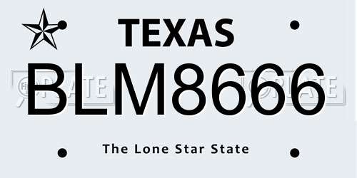 BLM8666 Texas License Plate