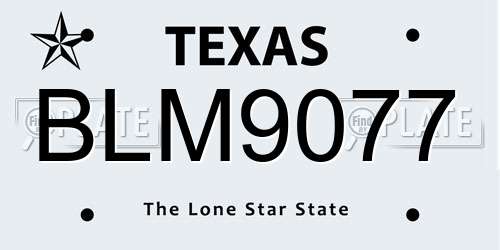 BLM9077 Texas License Plate
