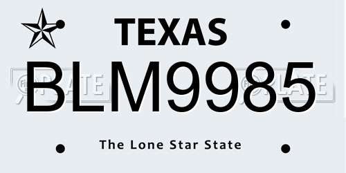 BLM9985 Texas License Plate