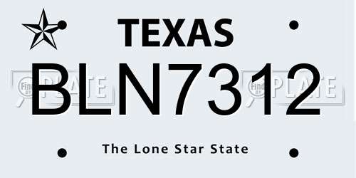 BLN7312 Texas License Plate
