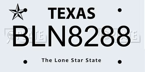 BLN8288 Texas License Plate