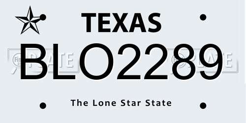 BLO2289 Texas License Plate