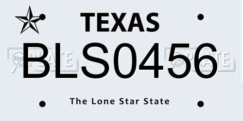 BLS0456 Texas License Plate