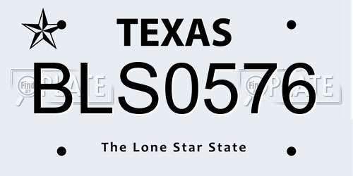 BLS0576 Texas License Plate