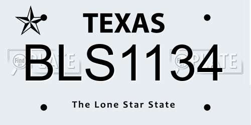 BLS1134 Texas License Plate