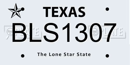 BLS1307 Texas License Plate