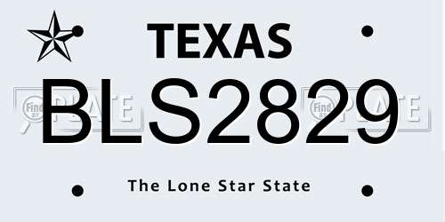 BLS2829 Texas License Plate
